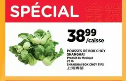 Kim Phat SHANGHAI BOK CHOY TIPS offer