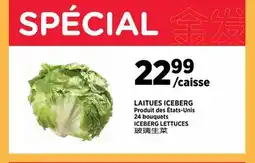 Kim Phat ICEBERG LETTUCES offer