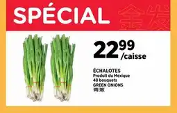 Kim Phat GREEN ONIONS offer