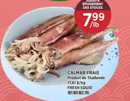 Kim Phat FRESH SQUID offer