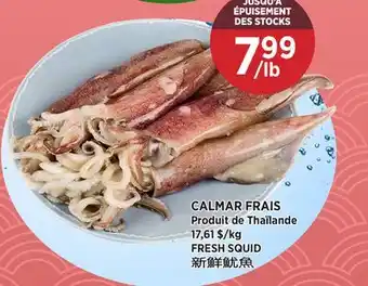 Kim Phat FRESH SQUID offer