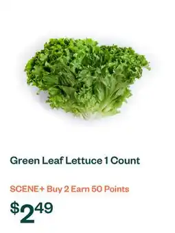 Voilà Green Leaf Lettuce 1 Count offer