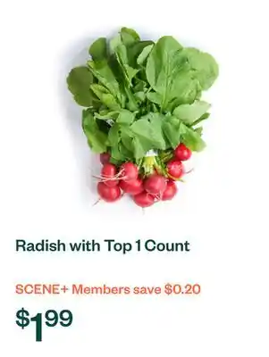 Voilà Radish with Top 1 Count offer