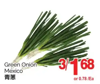 T&T Supermarket GREEN ONION offer