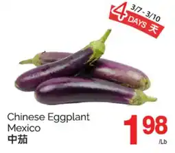 T&T Supermarket CHINESE EGGPLANT MEXICO offer