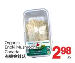 T&T Supermarket ORGANIC ENOKI MUSHROOM offer