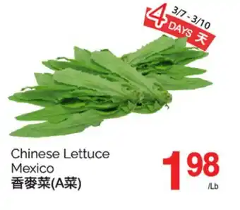 T&T Supermarket CHINESE LETTUCE offer