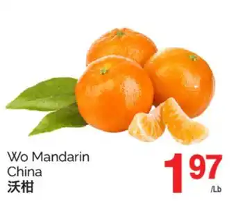 T&T Supermarket WO MANDARIN offer