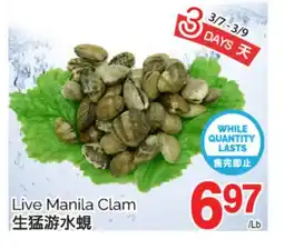 T&T Supermarket LIVE MANILA CLAM offer