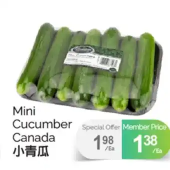 T&T Supermarket MINI CUCUMBER CANADA offer