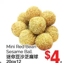 T&T Supermarket MINI RED BEAN SESAME BALL, 20Gx12 offer