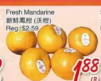 Foody Mart Fresh Mandarine offer