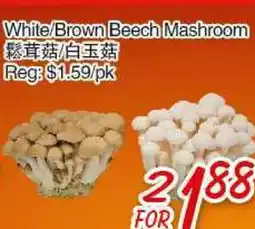 Foody Mart White/Brown Beech Mashroom offer