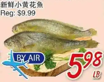 Foody Mart Fresh Small Yellow Croaker offer