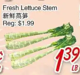 Foody Mart Fresh Lettuce Stem offer