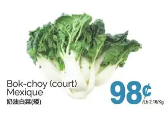 T&T Supermarket BOK-CHOY (COURT) offer