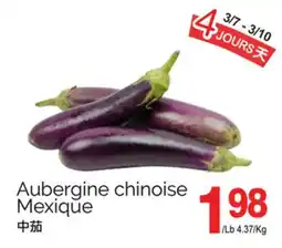 T&T Supermarket AUBERGINE CHINOISE offer