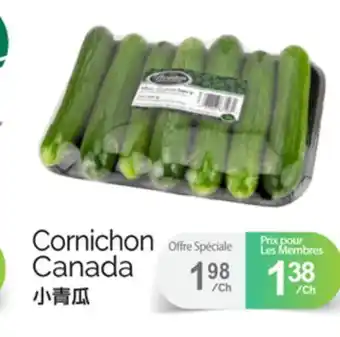 T&T Supermarket CORNICHON offer