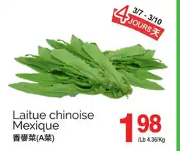 T&T Supermarket LAITUE CHINOISE offer