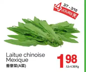 T&T Supermarket LAITUE CHINOISE offer