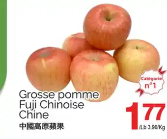 T&T Supermarket GROSSE POMME FUJI CHINOISE offer