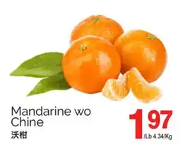 T&T Supermarket MANDARINE WO offer