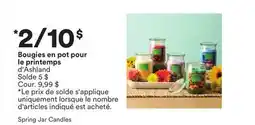 Michaels Bougies en pot pour le printemps d'Ashland offer