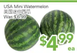 Ample Food Market USA Mini Watermelon offer