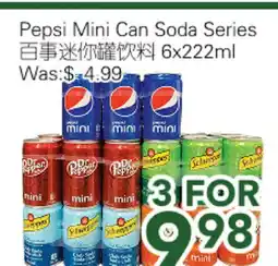 Ample Food Market Pepsi Mini Can Soda Series offer