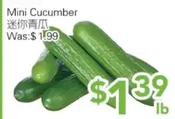 Ample Food Market Mini Cucumber offer