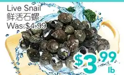 Ample Food Market Live Snail offer