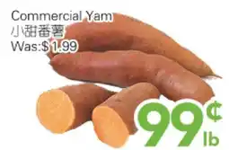 Ample Food Market Commercial Yam offer