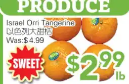 Ample Food Market Israel Orri Tangerine offer