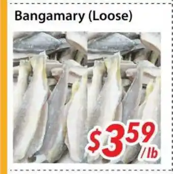 Bestco Food Mart Bangamary (Loose) offer