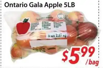 Bestco Food Mart Ontario Gala Apples offer