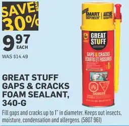 Co-op Great stuff gaps & cracks foam sealant offer