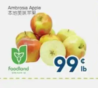 Oceans Fresh Food Market Ambrosa Apple offer