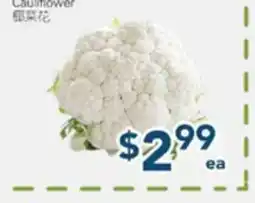 Oceans Fresh Food Market Cauliflower offer