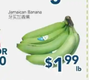 Oceans Fresh Food Market Jamaican Banana offer