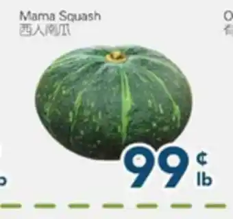 Oceans Fresh Food Market Mama Squash offer