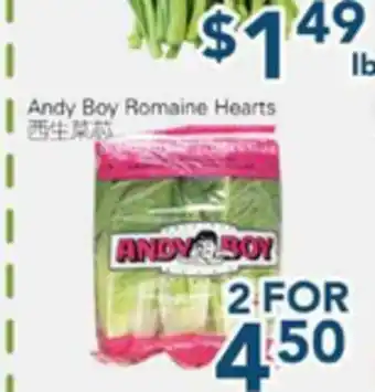 Oceans Fresh Food Market Andy Boy Romaine Hearts offer