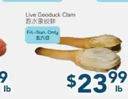 Oceans Fresh Food Market Live Geoduck Clam offer