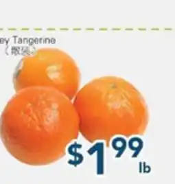 Oceans Fresh Food Market Honey Tangerine offer