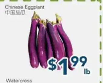 Oceans Fresh Food Market Chinese Eggplant offer