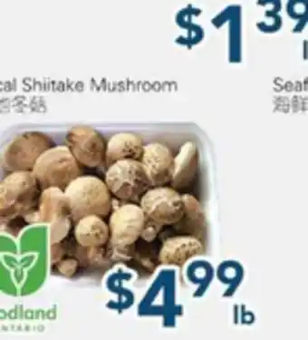 Oceans Fresh Food Market Local Shitake Mushroom offer