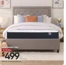 Sleep Country Distinction Series Delaney Mattress offer