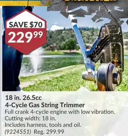 Princess Auto 18 in. 26.5cc 4-Cycle Gas String Trimmer offer