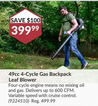 Princess Auto 49cc 4-Cycle Gas Backpack Leaf Blower offer