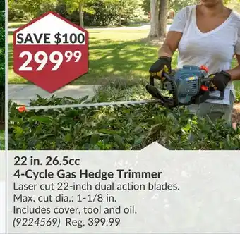 Princess Auto 22 in. 26.5cc 4-Cycle Gas Hedge Trimmer offer