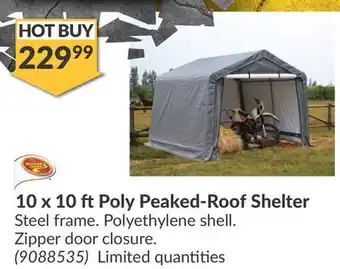 Princess Auto 10 x 10 ft Poly Peaked-Roof Shelter offer